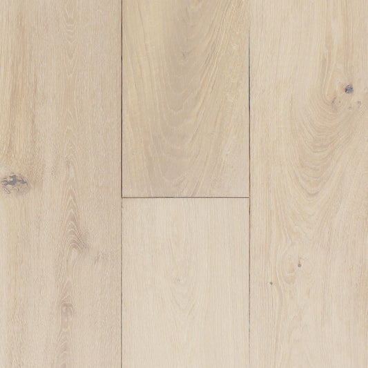 PRAVADA - Canvas Collection - Atelier