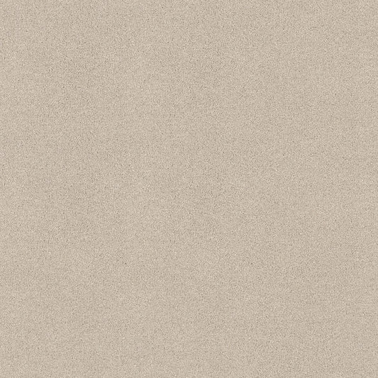 Shaw Floors - Carpet - COMFORTING I - Adobe