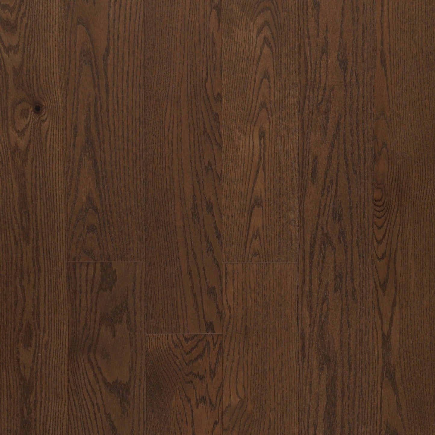 Vidar - American Oak 6 Collection - Camel