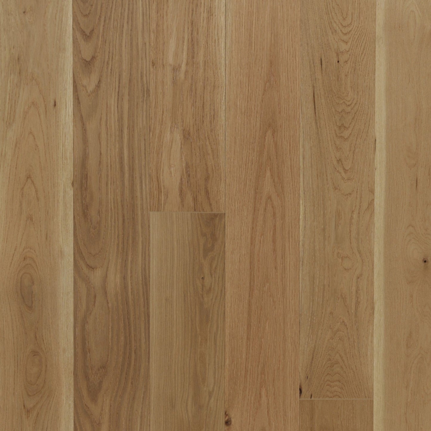 Vidar - American Oak 6 Collection - Natural - Character Grade