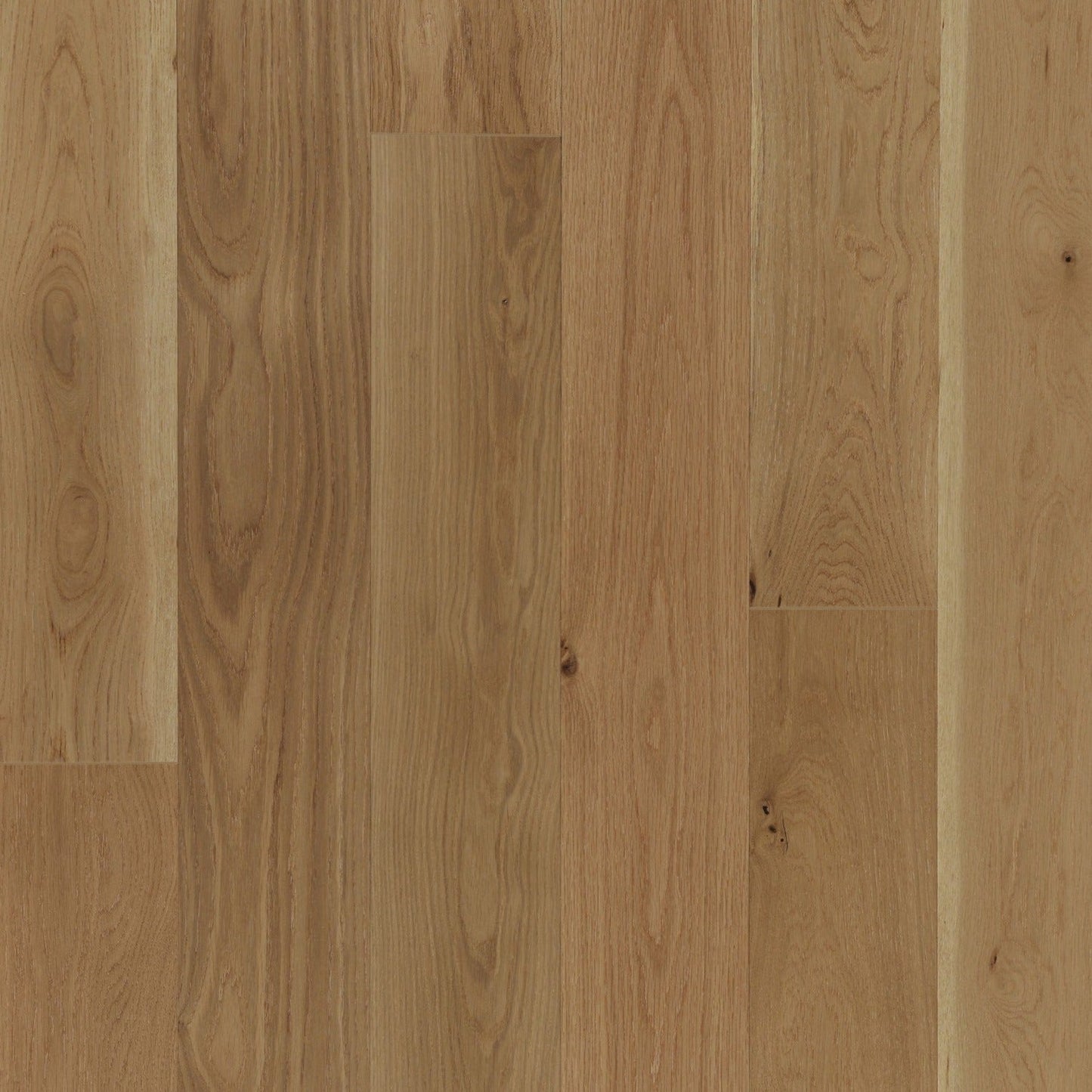 Vidar - American Oak 6 Collection - Natural - Select Grade