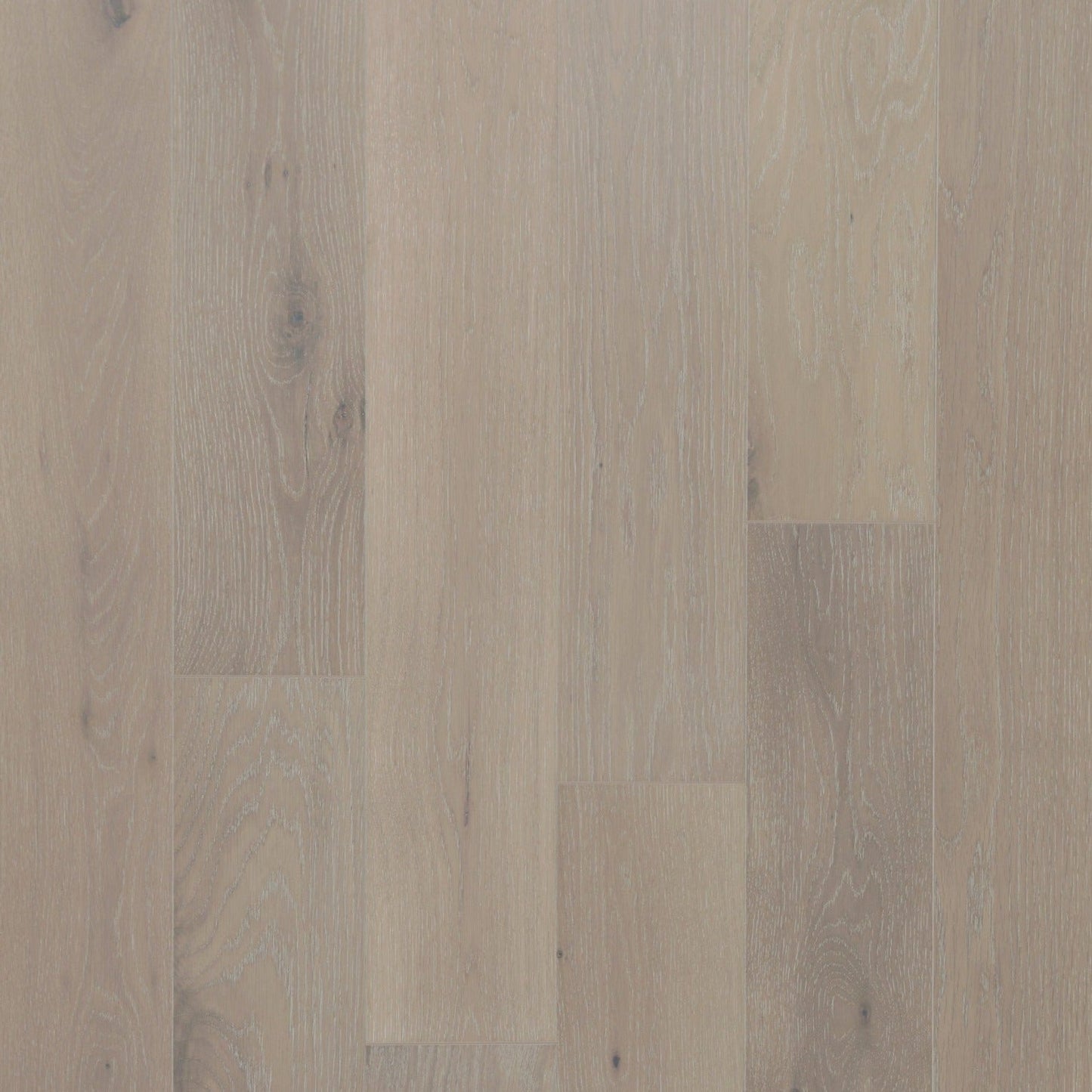 Vidar - American Oak 7 Collection - Snowwhite