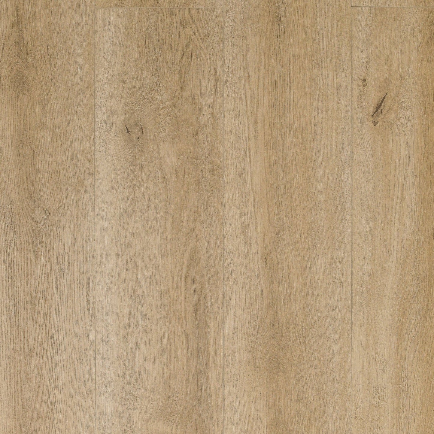 TURION - Summon Collection - Angora