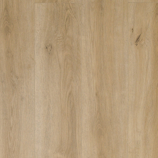 TURION - Summon Collection - Angora