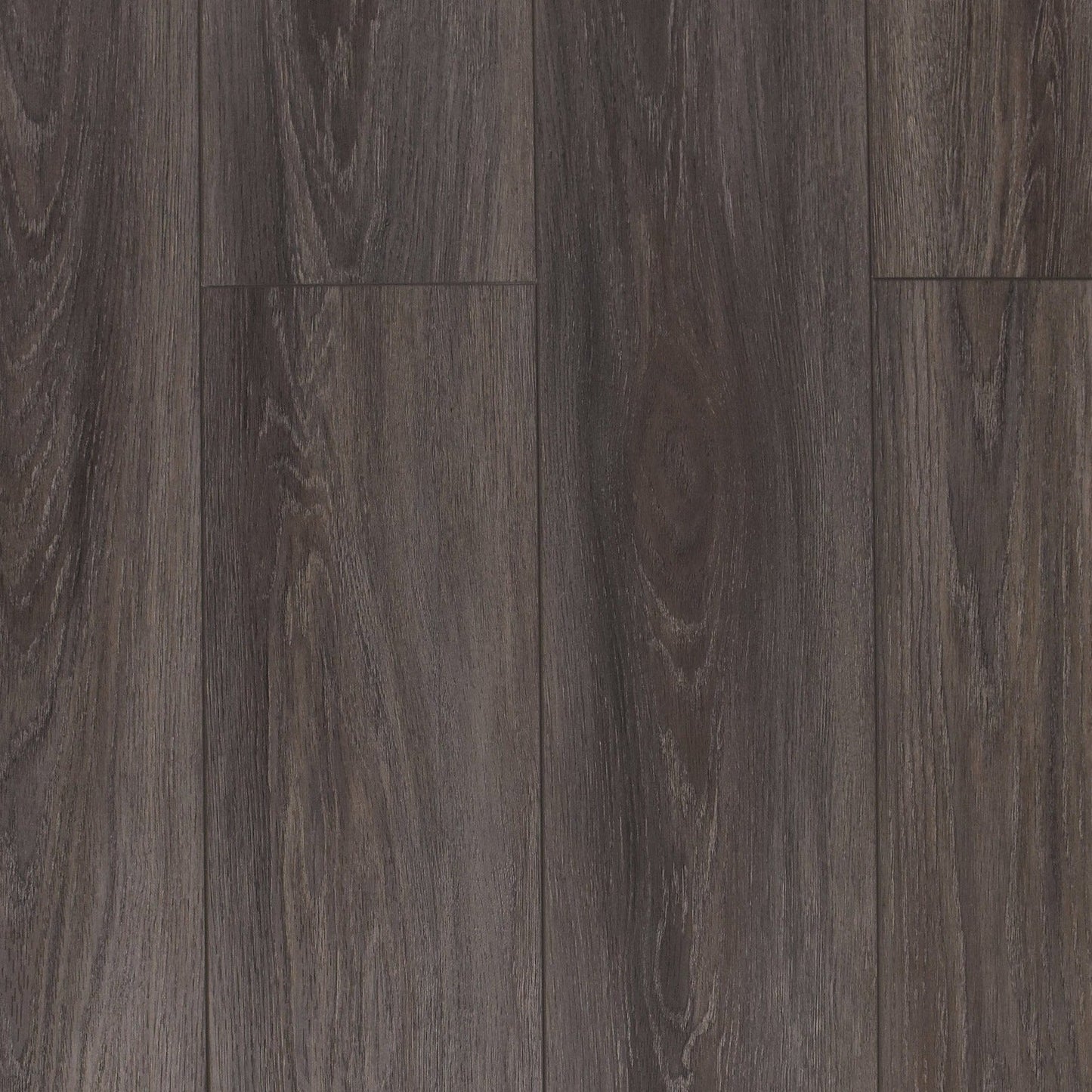 TURION - Pristine Collection - Augusta