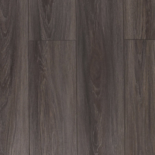 TURION - Pristine Collection - Augusta