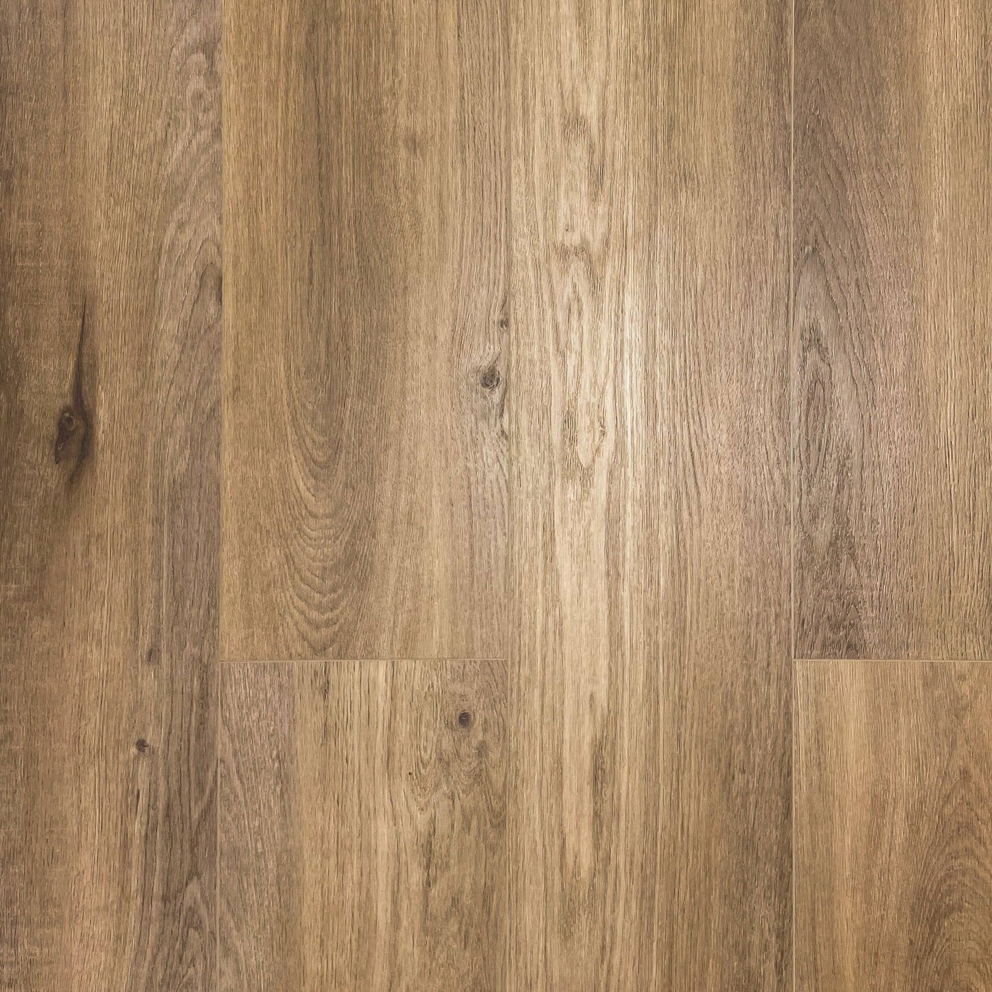 TURION - Provenance Collection - Caribbean Sand