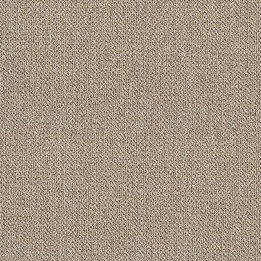 Shaw Floors - Carpet- Foundations Collection - Smart Thinking - Barista