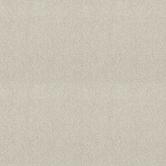 Shaw Floors - Carpet - Simply The Best  - Attainable - Blizzard