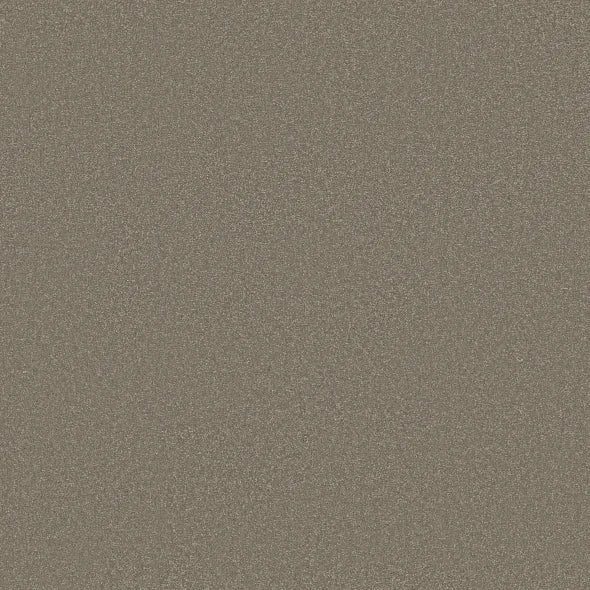 Shaw Floors - Carpet - Classics Collection  - Awaken Spirit II - 12' - Bungalow