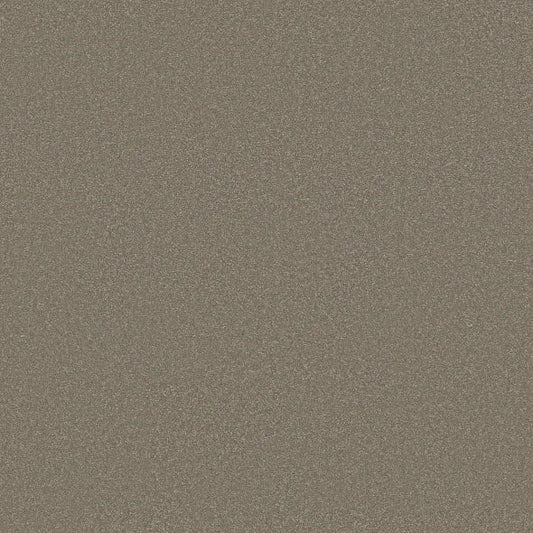 Shaw Floors - Carpet - Classics Collection  - Awaken Spirit II - 12' - Bungalow