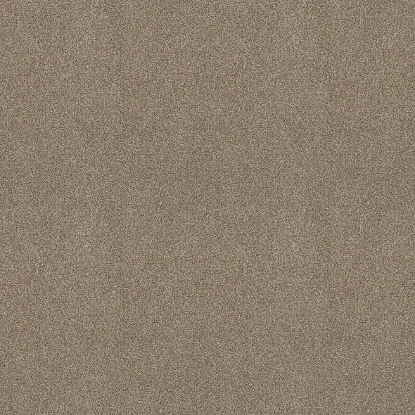 Shaw Floors - Carpet - COMFORTING II - Boardwalk