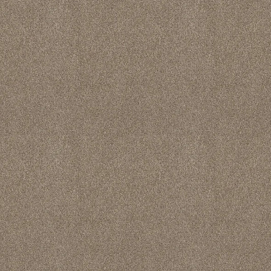 Shaw Floors - Carpet - COMFORTING II - Boardwalk