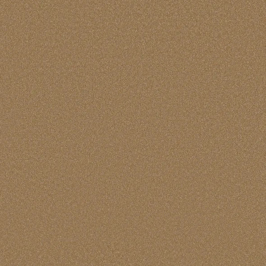 Shaw Floors - Carpet - Classics Collection  - Awaken Spirit II - 15'- Warm Brass