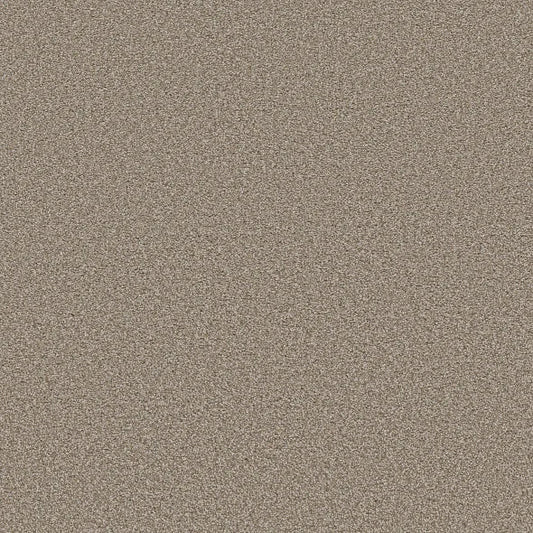 Shaw Floors - Carpet - Simply The Best  - TRUSOLUTIONS III - Beach Cabana