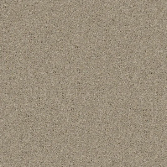 Shaw Floors - Carpet - Full Court 12' - Bare Mineral