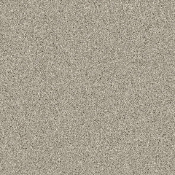 Shaw Floors - Carpet - Simply The Best  - TRUSOLUTIONS III - Bleached Oak