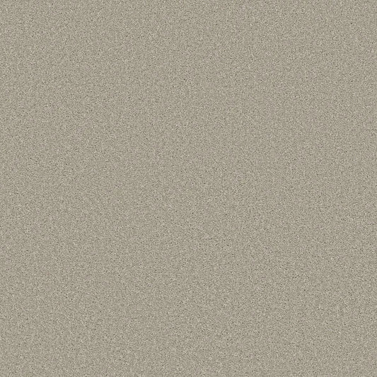 Shaw Floors - Carpet - Simply The Best  - TRUSOLUTIONS III - Bleached Oak