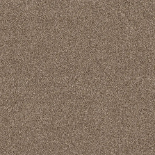 Shaw Floors - Carpet - COMFORTING I - Riverbank