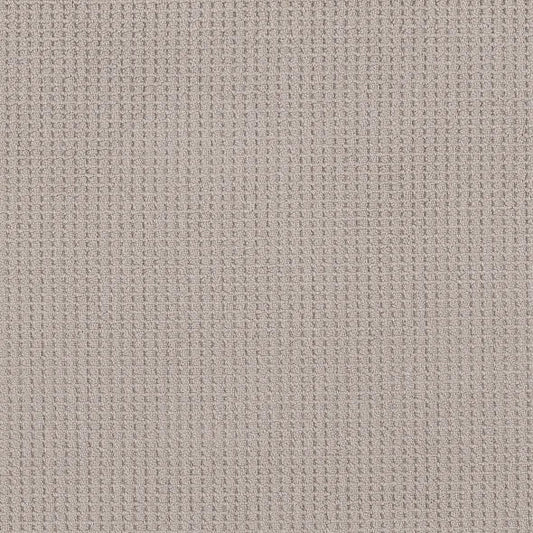 Shaw Floors - Carpet - Foundations Collection - Faint Intent - Baltic Stone