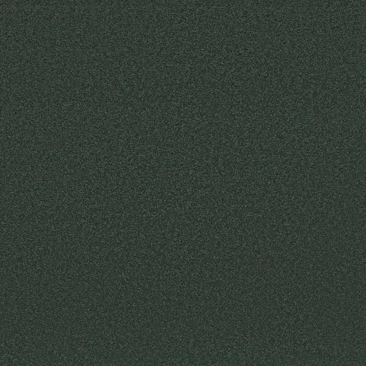 Shaw Floors - Carpet - Classics Collection  - Awaken Spirit II - 15' - Blue Spruce