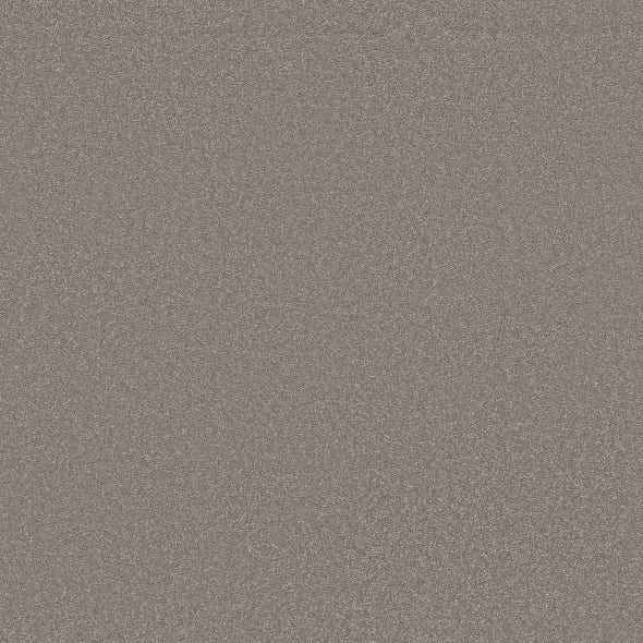 Shaw Floors - Carpet - Classics Collection  - Awaken Spirit I 12' - Boulder Taupe