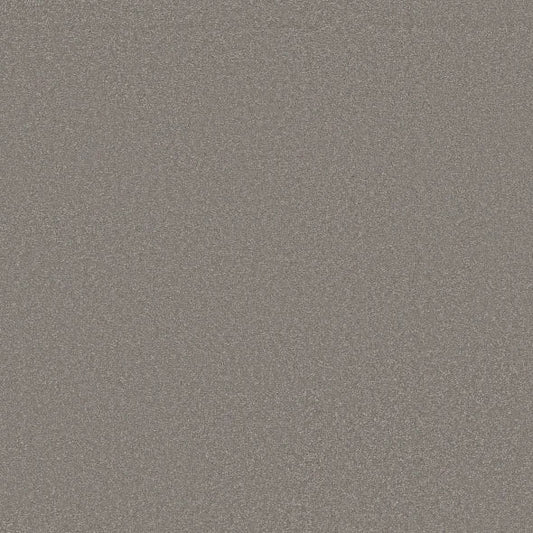 Shaw Floors - Carpet - Classics Collection  - Awaken Spirit I 12' - Boulder Taupe