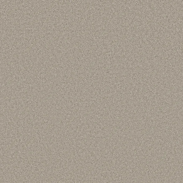 Shaw Floors - Carpet- Foundations Collection - HARMONIOUS II - Baltic Stone