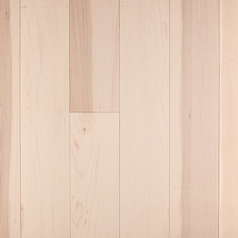 Wickham - Domestic Collection - Canadian Plus Grade - 3 1/4" - Maple - Barewood
