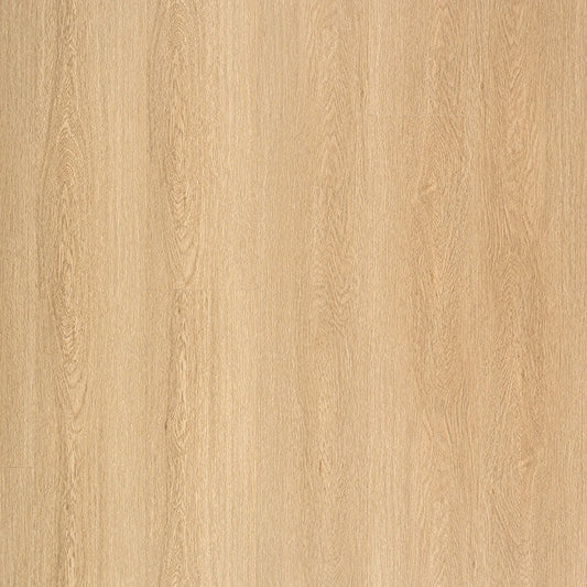 MSI Surfaces - Laurel Reserve Collection - Bayside Bluff