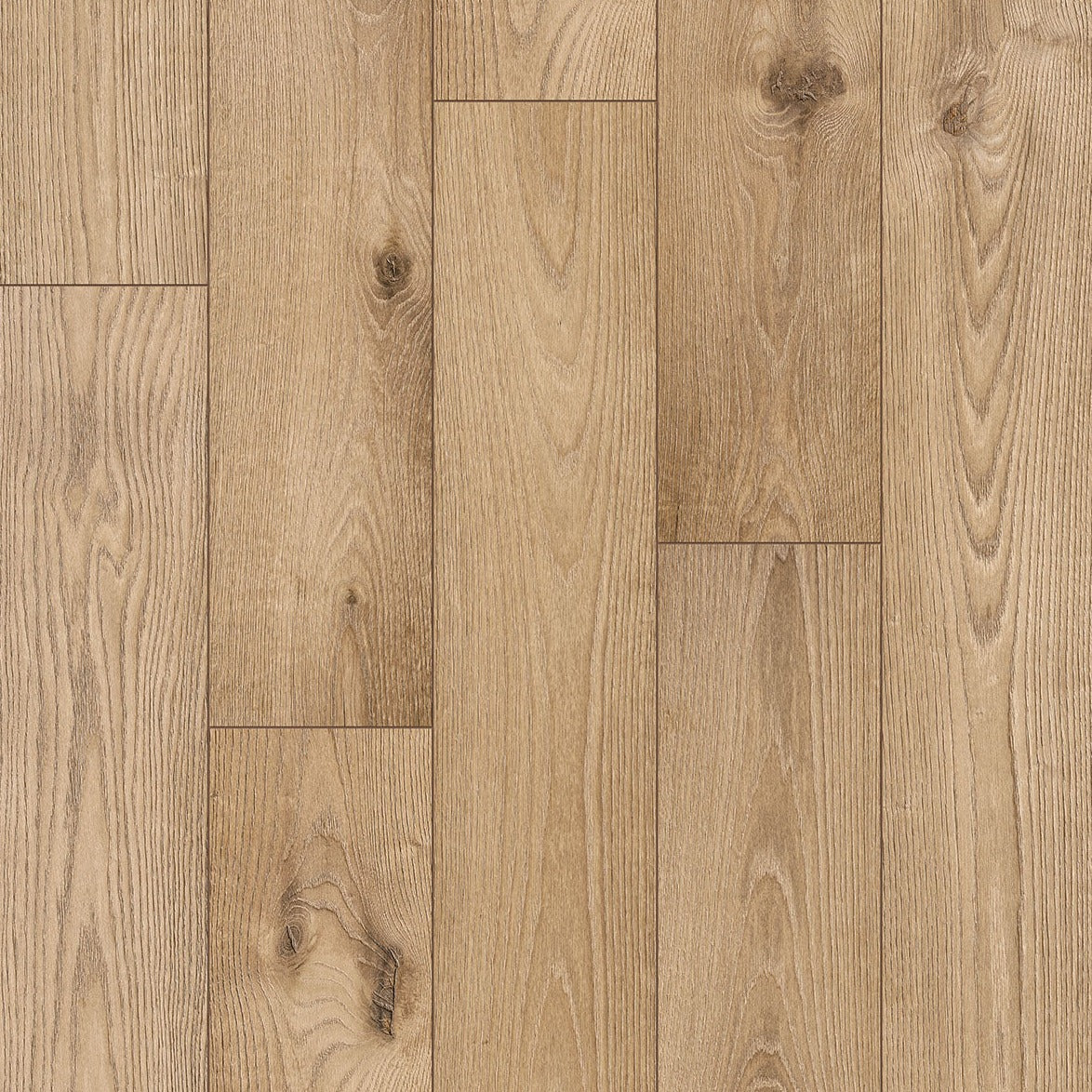 InHaus - Sono Eclipse Collection - Bower