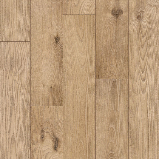 InHaus - Sono Eclipse Collection - Bower