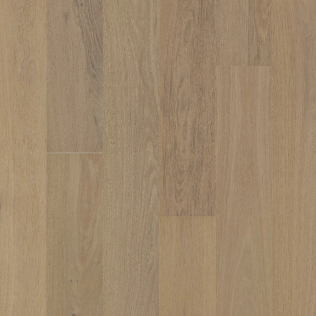 BIYORK - Nouveau 6 Collection - Breath Of Winter