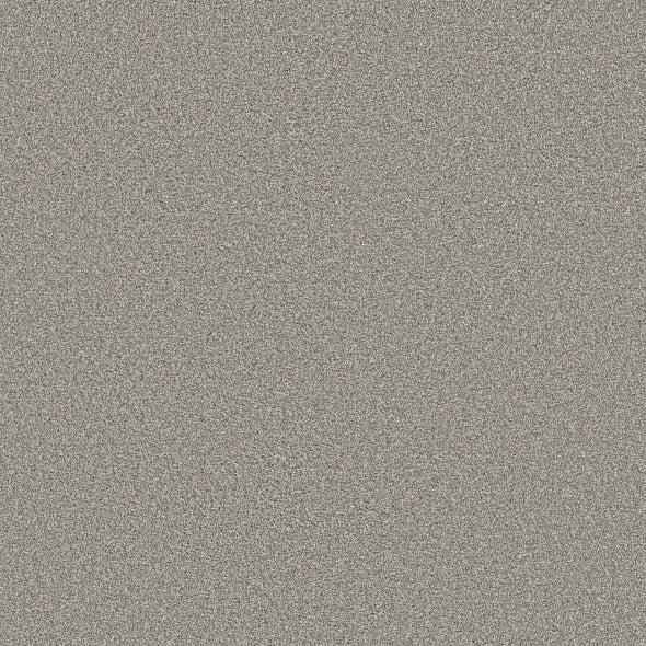 Shaw Floors - Carpet - Simply The Best  - TRUSOLUTIONS III - Concrete