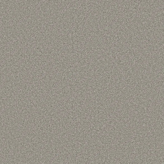 Shaw Floors - Carpet - Simply The Best  - TRUSOLUTIONS III - Concrete