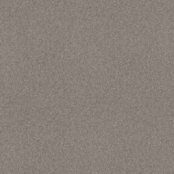 Shaw Floors - Carpet - Simply The Best  - Attainable - Clay