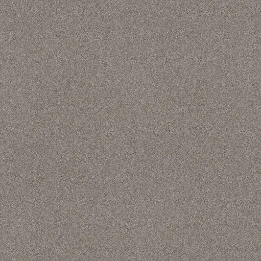 Shaw Floors - Carpet - Simply The Best  - Attainable - Clay