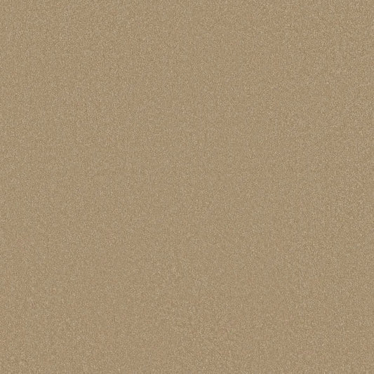 Shaw Floors - Carpet - Classics Collection  - Awaken Spirit II - 15' - Classic Buff