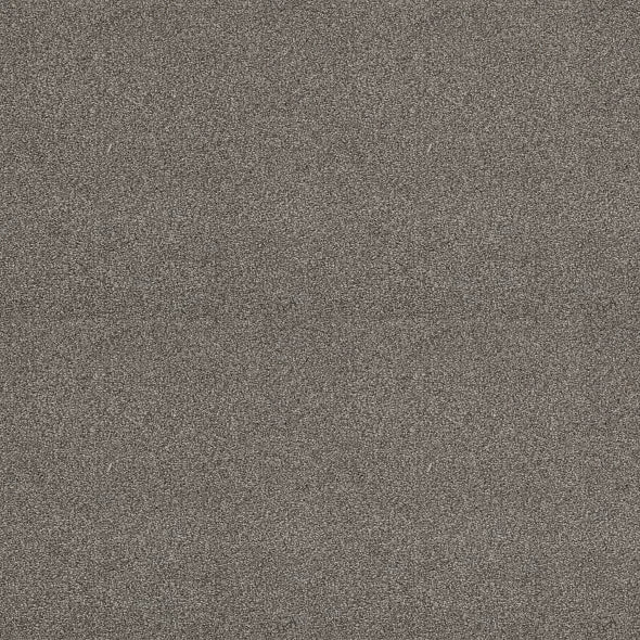 Shaw Floors - Carpet - Simply The Best  - Attainable - Cedar Ridge