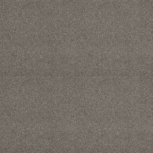 Shaw Floors - Carpet - Simply The Best  - Attainable - Cedar Ridge