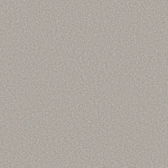Shaw Floors - Carpet - Simply The Best  - TRUSOLUTIONS III - Clear Sky