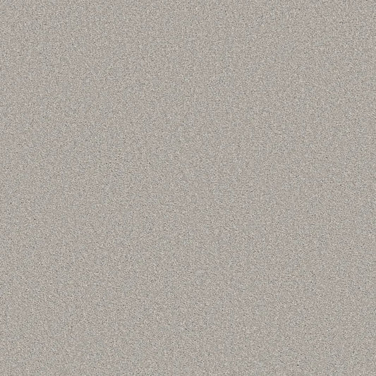 Shaw Floors - Carpet - Simply The Best  - TRUSOLUTIONS III - Clear Sky