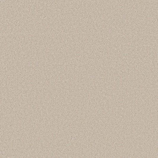 Shaw Floors - Carpet- Foundations Collection - HARMONIOUS II - Champagne Toast