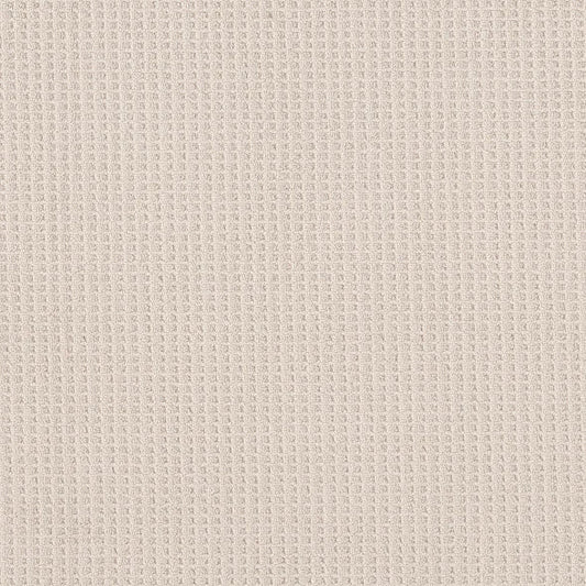 Shaw Floors - Carpet - Foundations Collection - Faint Intent - Champagne Toast