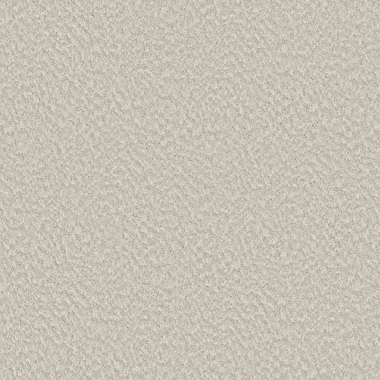 Shaw Floors - Carpet - Foundations Collection  - Alluring Canvas - Champagne Toast