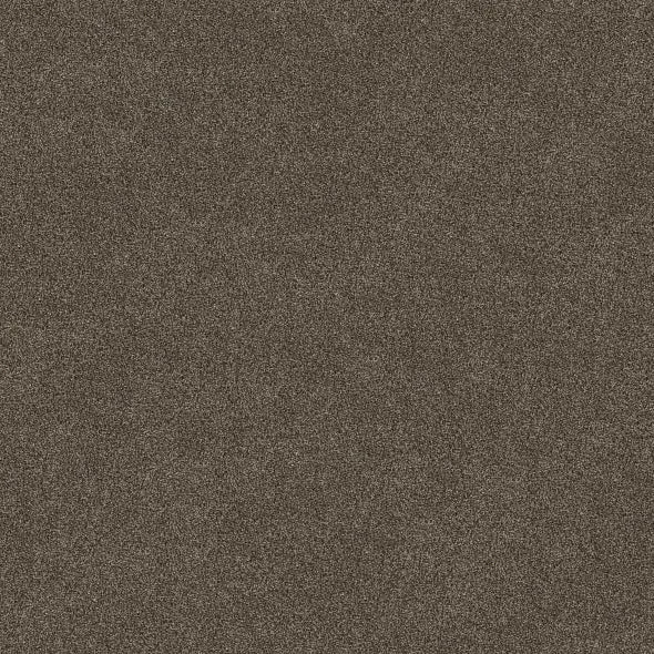 Shaw Floors - Simply The Best - Shaw Floors - TruSpirit II - Chestnut