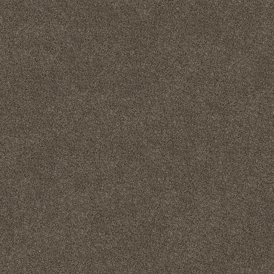 Shaw Floors - Simply The Best - Shaw Floors - TruSpirit II - Chestnut