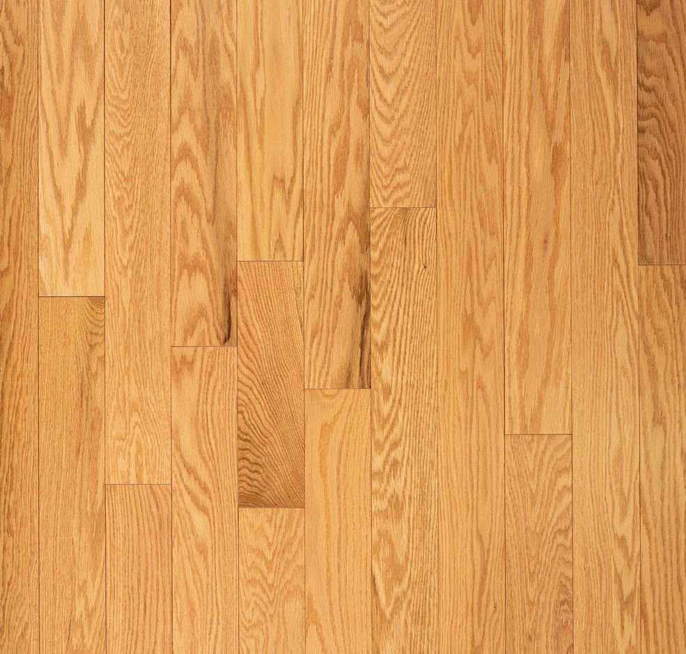 Wickham - Domestic Collection - Engineered Elite Plus - 5" - Select Grade - Red Oak - Classic