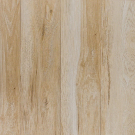 TURION - Saga Collection - Coast