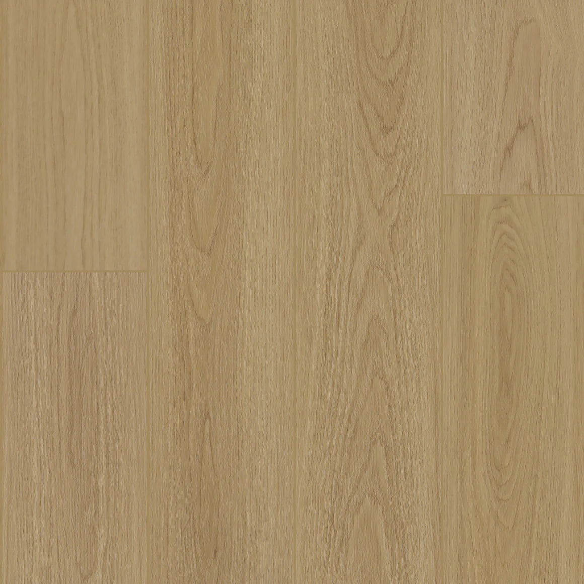 BIYORK - HydroGen 8 - Cool Haze